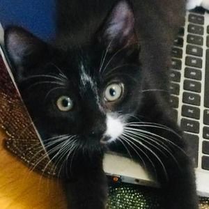 Meet your Posher, Barbara